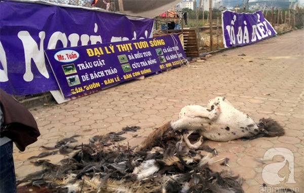 kinh doanh vỉa hè