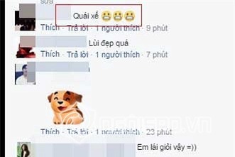 Hạ Vi 3
