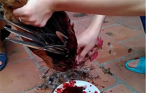 choang vang sau man ra mat