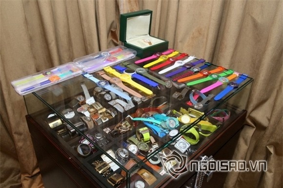 Đàm Vĩnh Hưng khoe của  5