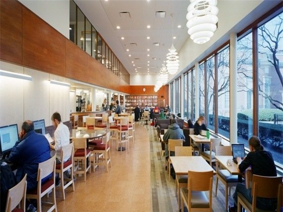 Thực hư Harvard lúc bốn rưỡi sáng