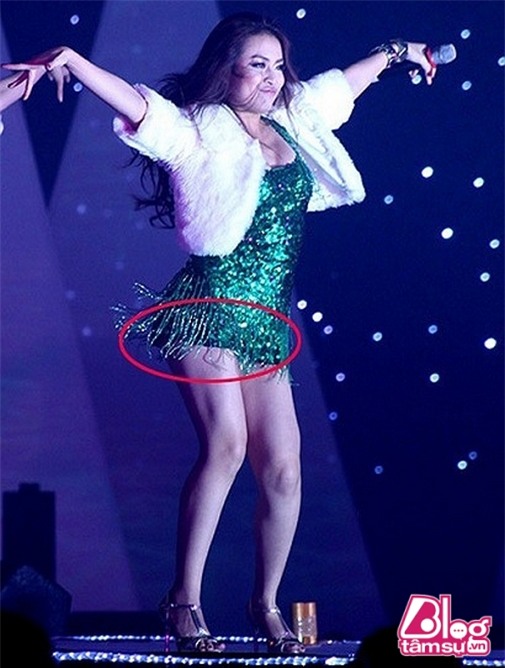 hoang thuy linh blogtamsuvn (4)