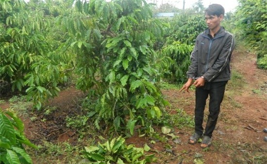 bat khan cap em chong doi bai hiep dam chi dau hinh anh 1