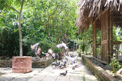 Ít ai ngờ đây là dinh cơ hàng nghìn mét, thẳng cánh cò bay của 3 danh hài đất Bắc-6