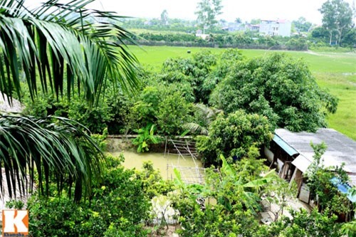 Ít ai ngờ đây là dinh cơ hàng nghìn mét, thẳng cánh cò bay của 3 danh hài đất Bắc-9