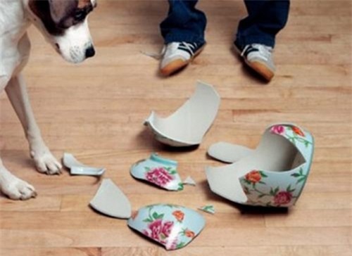 7 dau hieu cho thay ban sap bi hao tien, ton cua - 2