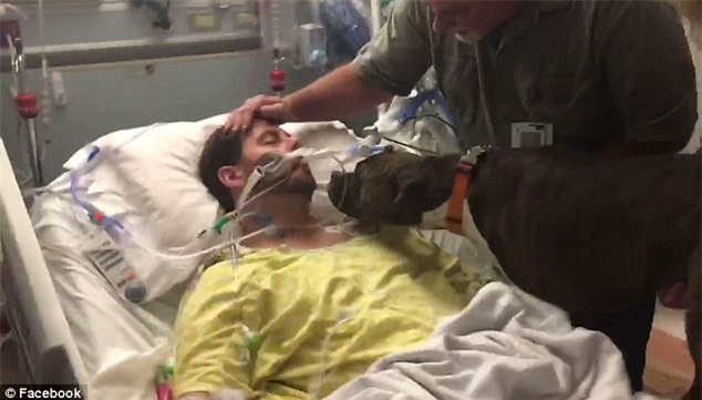 Video: Chú chó cưng vào bệnh viện để nói lời vĩnh biệt với người chủ sắp qua đời - Ảnh 3.