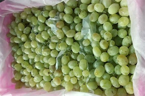 Nhận diện các loại rau củ, hoa quả Tàu nhập về Việt Nam