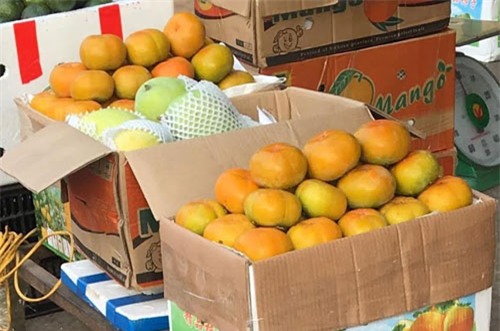 Nhận diện các loại rau củ, hoa quả Tàu nhập về Việt Nam