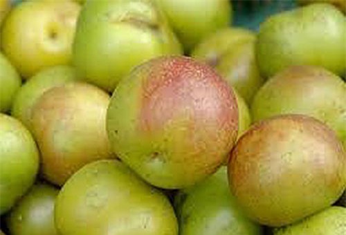 Nhận diện các loại rau củ, hoa quả Tàu nhập về Việt Nam