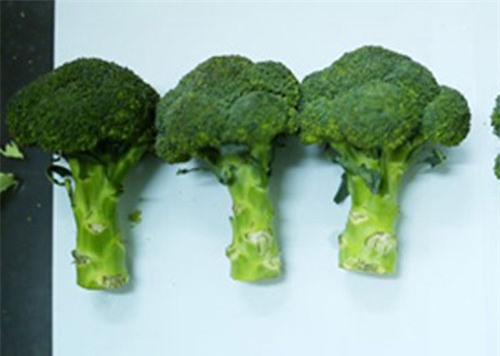 Nhận diện các loại rau củ, hoa quả Tàu nhập về Việt Nam