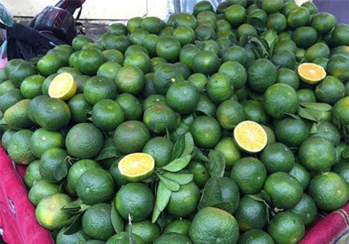 Nhận diện các loại rau củ, hoa quả Tàu nhập về Việt Nam