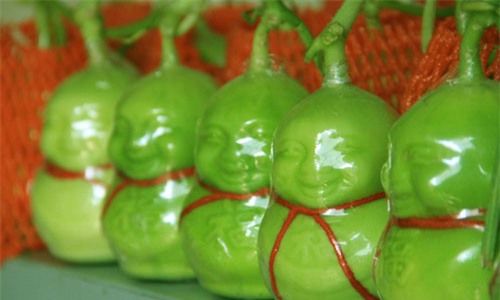 Nhận diện các loại rau củ, hoa quả Tàu nhập về Việt Nam