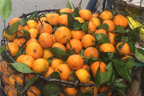 Nhận diện các loại rau củ, hoa quả Tàu nhập về Việt Nam