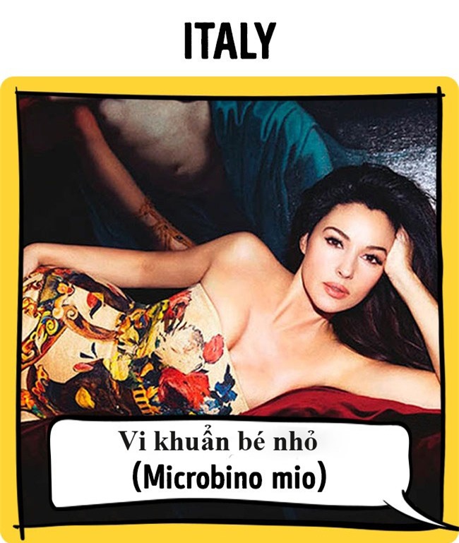 neu viet nam goi nguoi yeu la "gau", thi cac nuoc khac goi la gi? - 14