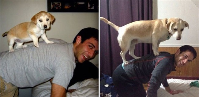 Ai rồi cũng sẽ lớn vậy mà cứ quên mất thú cưng của mình cũng đang già đi rồi... - Ảnh 21.