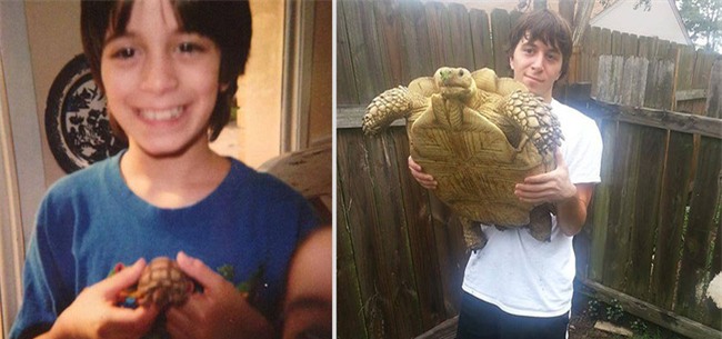 Ai rồi cũng sẽ lớn vậy mà cứ quên mất thú cưng của mình cũng đang già đi rồi... - Ảnh 23.