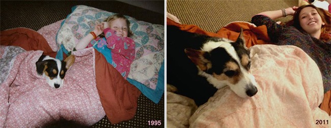 Ai rồi cũng sẽ lớn vậy mà cứ quên mất thú cưng của mình cũng đang già đi rồi... - Ảnh 27.