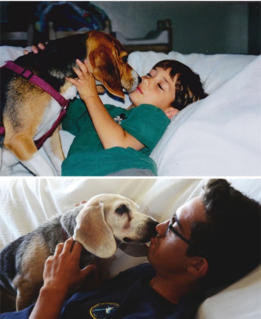 Ai rồi cũng sẽ lớn vậy mà cứ quên mất thú cưng của mình cũng đang già đi rồi... - Ảnh 3.