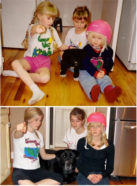 Ai rồi cũng sẽ lớn vậy mà cứ quên mất thú cưng của mình cũng đang già đi rồi... - Ảnh 13.