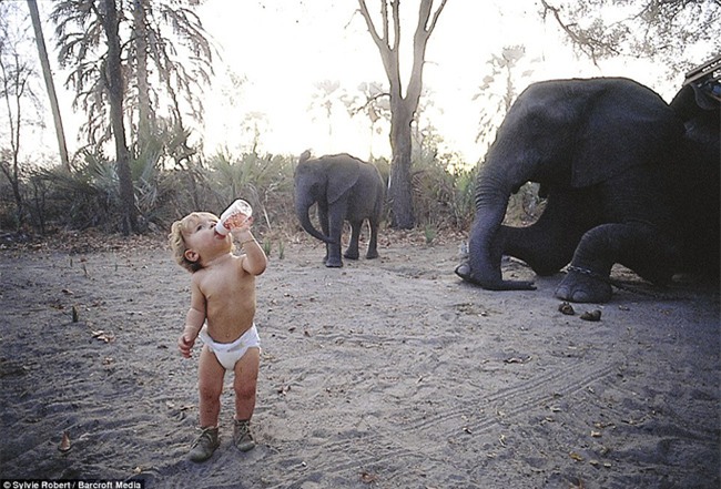 Cuộc sống của cô bé rừng xanh ngoài đời thật, làm bạn với voi châu Phi và chơi cùng báo - Ảnh 3.