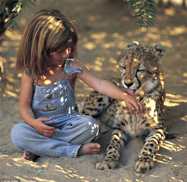 Cuộc sống của cô bé rừng xanh ngoài đời thật, làm bạn với voi châu Phi và chơi cùng báo - Ảnh 13.