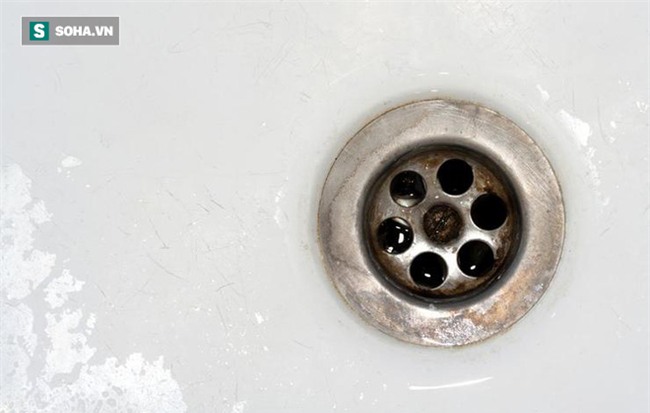 8 lỗi khi rửa bát đĩa gây hại sức khỏe ai cũng có thể mắc - Ảnh 4.