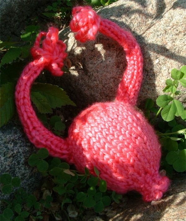 nhung cau chuyen ki quac ve “chuyen ay” khien ban khong the nao tin noi - 5