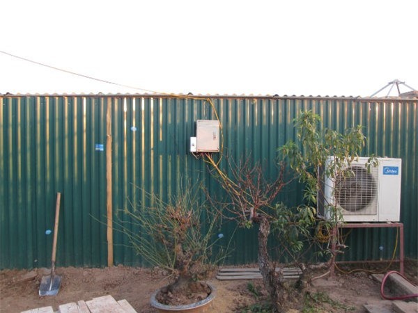 Vườn đào bạc tỷ ở Nhật Tân được lắp điều hòa để bung hoa đúng Tết