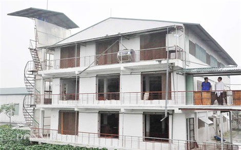 Lạ lùng chuyện đàn lợn đông đúc lên ở 'chung cư' tại Hà Nội