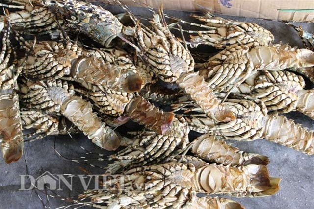 vo tom hum bong dat khach: mua gia 2.000 dong, ban ra gap 50 lan hinh anh 3