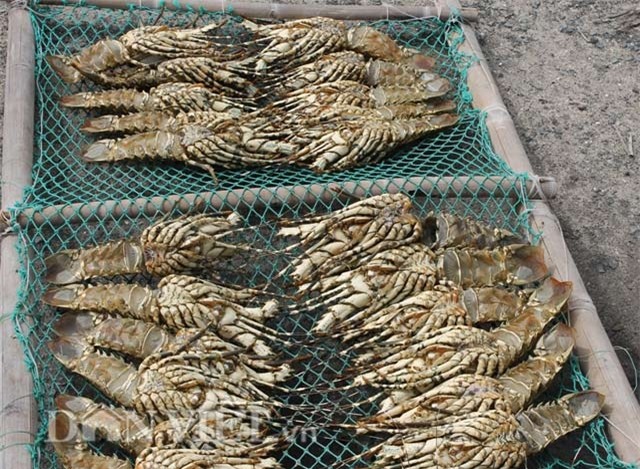 vo tom hum bong dat khach: mua gia 2.000 dong, ban ra gap 50 lan hinh anh 5