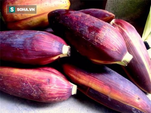 Ăn chuối rất bổ, nhưng còn 1 bộ phận nữa của cây chuối bổ không kém nhưng toàn bị vứt đi - Ảnh 3.