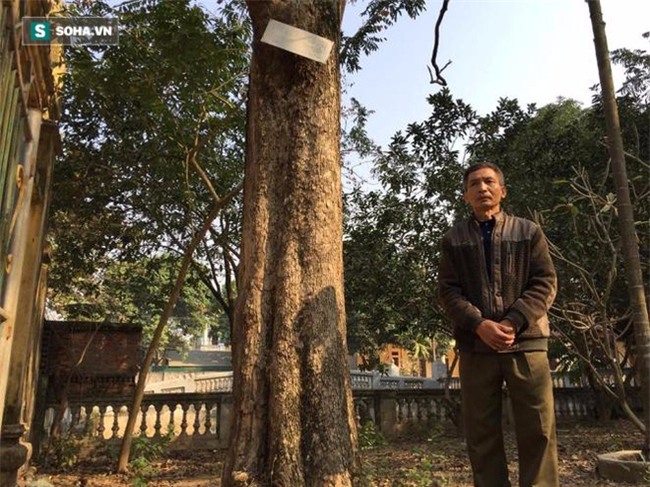 Cận cảnh cây sưa 50 tỷ trong vụ đánh nhau chảy máu đầu tại cuộc họp ở Bắc Ninh - Ảnh 6.