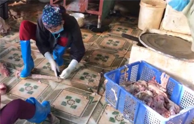 'Nhập kho' gần 1 tấn nội tạng động vật đang mốc xanh chờ Tết bán