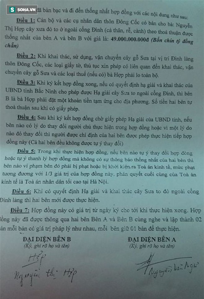 Người trả giá 49 tỷ đồng mua cây sưa đỏ quý ở Bắc Ninh mất hút, công an đến tận nhà tìm - Ảnh 2.