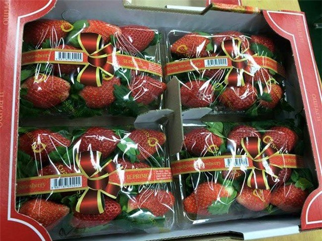 Dâu tây Hàn Quốc lên cơn sốt tại Hà Nội