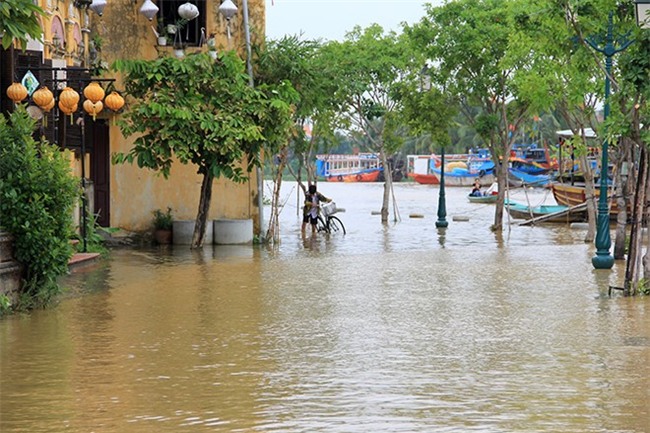 Hang nghin hoc sinh Quang Nam phai o nha tranh lu hinh anh 1