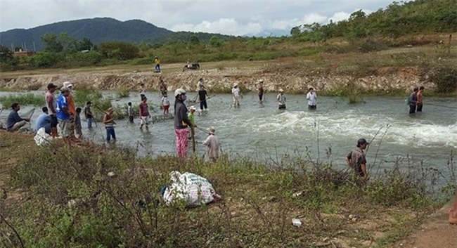 Clip ca nhay len bo, dan Binh Thuan tranh nhau bat hinh anh 1