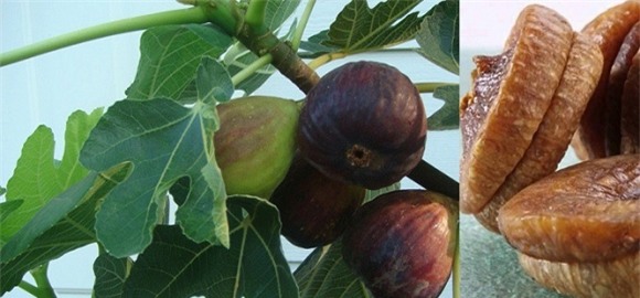 qua-sung-15-ngoisao.vn-w666-h311.jpg 0