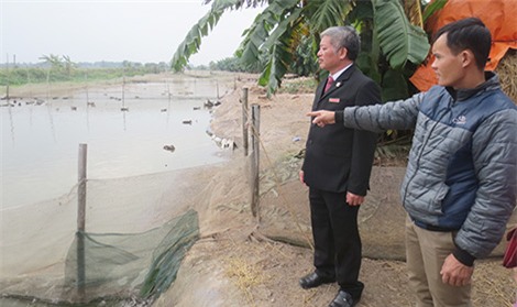 Cử nhân văn hóa du lịch thành tỷ phú nhờ… vịt trời - Ảnh 1.