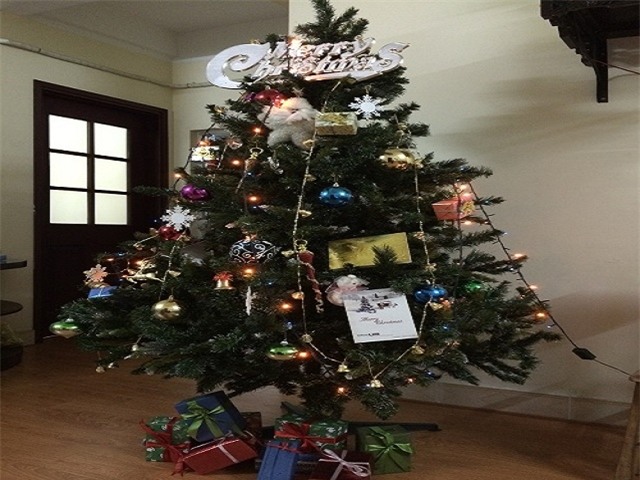 nhung mon do trang tri bac trieu dip noel hinh anh 2