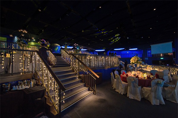 Cô dâu Việt chi gần 2 tỷ đồng bao trọn thủy cung lớn nhất thế giới làm đám cưới - Ảnh 11.