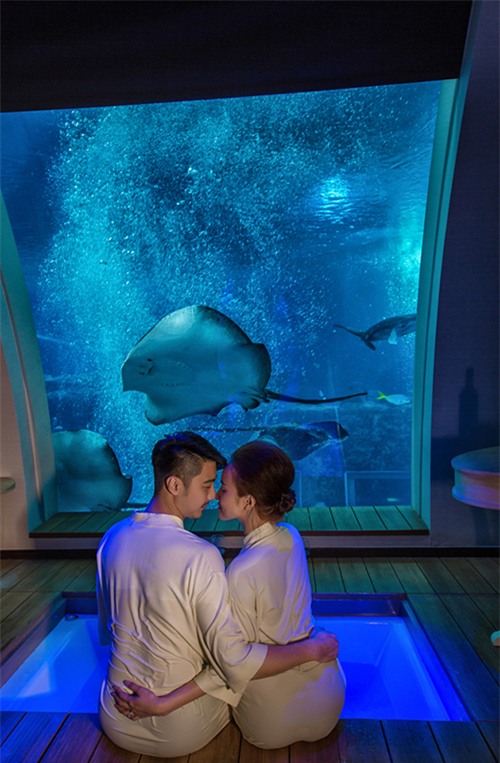 Cô dâu Việt chi gần 2 tỷ đồng bao trọn thủy cung lớn nhất thế giới làm đám cưới - Ảnh 15.