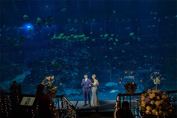 Cô dâu Việt chi gần 2 tỷ đồng bao trọn thủy cung lớn nhất thế giới làm đám cưới - Ảnh 2.