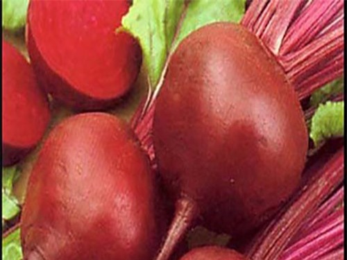 cac loai rau cu qua cuc tot khi an trong mua dong - 1