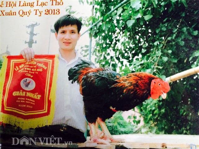 Gà Hồ 6,4 kg trả tiền triệu không bán