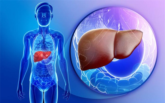 9 dấu hiệu cảnh báo và 3 bước thải độc gan ai cũng phải biết để bảo vệ cả gan và tim - Ảnh 2.