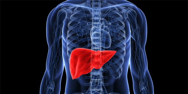 9 dấu hiệu cảnh báo và 3 bước thải độc gan ai cũng phải biết để bảo vệ cả gan và tim - Ảnh 4.