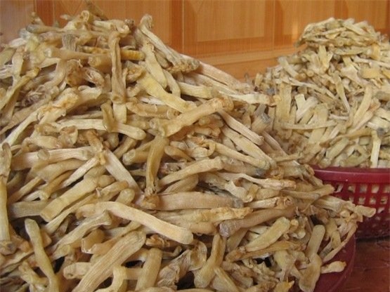 Hoa quả đắt nhất thế giới: Nhà giàu Việt không tiếc tiền ăn sang